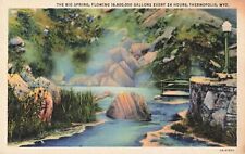 Thermopolis WY Wyoming, The Big Spring, Vintage Postcard picture