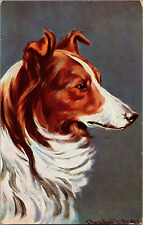 Antique Dog Postcard beautiful COLLIE PORTRAIT by Donadini Dresden, Germany picture