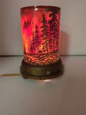 Working Vintage Econolite Corp Roto-Vue Junior Forest Fire Scene Electric Lamp picture