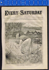 Gathering Spring Flowers,  New York Tammany - Every Saturday, May 1871 picture