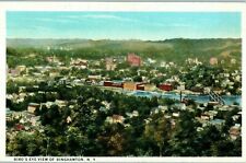 Aerial View Binghamton New York Vintage Postcard picture