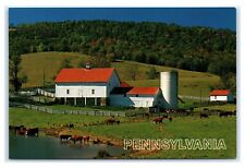 Postcard Agriculture in Pennsylvania PA farm cattle K76 picture