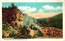 Vintage Postcard- Steam engine train, Black Hills, SD picture