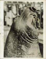 1931 Press Photo Elephant seal, eats 400 pounds of fish daily - lra96821 picture