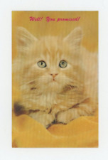 Vintage Cat Postcard     SWEET GREEN EYED ORANGE KITTY    UNPOSTED CHROME picture