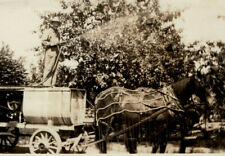 1920s Horse Drawn Wagon With Spay Machine Farmer Spraying Orchard 3