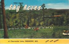 Piedmont Missouri~View from Sky Acres Cabins at Clearwater Lake 1940s Linen picture