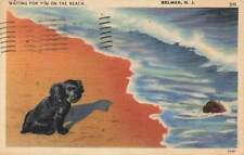 c1940s Belmar Pavilion Dog Waiting Beach Surf Lot of 2 NJ New Jersey Linen P74 picture
