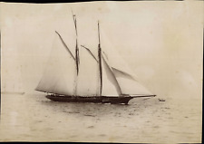 F.C. Gould and Son, Yacht 