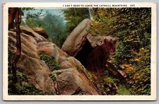 Bear Cave Animal Wildlife Catskill Mountains Forest New York Vintage PM Postcard picture