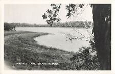 Postcard Brandon, Minnesota: Scenic View of Whiskey Lake, RPPC, 1950s picture