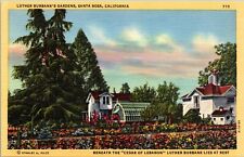 Santa Rosa CA Luther Burbank's Gardens & Home Linen Old Vtg Postcard View Unused picture