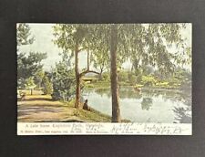 Antique 1905  Kapiolani Park Honolulu Hawaii: Undivided Back, M. Rieder Publ picture