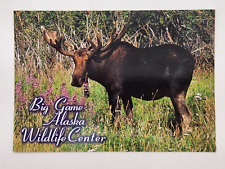 Postcard Bull Moose Big Game Alaska Wildlife Center Unposted picture