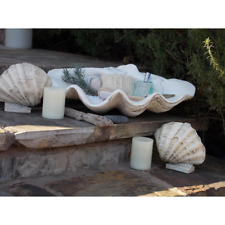 House Parts Decorative Large Clam Shell picture