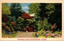 Postcard Greetings From Encinitas Cal 1941 Linen picture