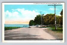Cheboygan MI-Michigan, A Glimpse Of Mullet Lake, Antique, Vintage Postcard picture
