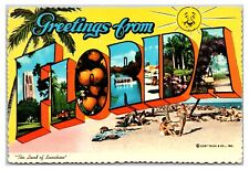 Vintage 1970s - Greetings From Florida Postcard (UnPosted) picture