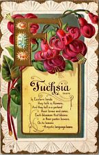 Postcard~Fuchsia~Flower~Poem~Greetings~Motto Series No 6~c1912~E. Nash~Unposted picture