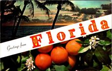 1967, BANNERS, Greetings from FLORIDA Postcard - Colourpicture picture