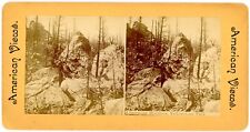 YELLOWSTONE SV - Limestone Hoodoos - American Views 1880s picture