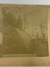 Antique Stereoview Photo Card Yellowstone Road to Great Falls Horse Carriage picture