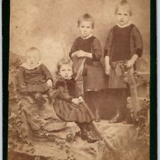 c1880s Reading, PA Cute Group Sibling Sisters Cabinet Card Photo Strunk B14 picture