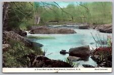 Trout Pool West Branch Bradford New Hampshire Forest Reflections PM VNG Postcard picture