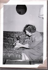 VINTAGE PHOTOGRAPH 1950'S CHIHUAHUA DOG/PUPPY/PUP JACKSONVILLE FLORIDA OLD PHOTO picture