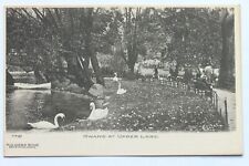 Old UDB postcard SWANS AT UPPER LAKE, SOLDIERS HOME, DAYTON, OHIO, pre 1907 picture