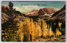 1930s Montezuma Mountain Aspen Colorado Postcard Vintage Postcard picture