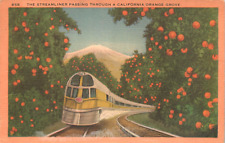 Streamliner Passing Through California Orange Grove Train Postcard picture