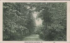 Shaded Roadway near Bethel Vermont c1900s Unposted Postcard picture