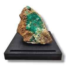 Striking Dioptase with Quartz Matrix from Shaba, Zaire picture