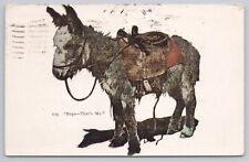 Postcard Rags That's Me. Donkey with Saddle. Vintage PM 1927 picture