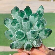 414G Newly discovered green phantom quartz crystal cluster minerals picture