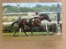 Postcard Saratoga New York NY Belmont Park Aqueduct Damascus Horse Racing picture
