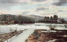 Reno NV Nevada Truckee River Waterfall Stream Fishing Trout Vtg Postcard W5 picture