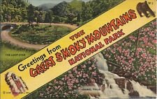 Greetings From The Great Smoky Mountains Postcard Curt Teich & Co Linen 1940s picture
