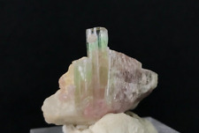 25ct Natural Top Quality Bi Color Tourmaline Crystal Specimen From Afghanistan picture