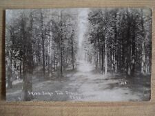 Park Rapids MN Minnesota Road through the Island Park Pines 1921 RPPC Postcard picture