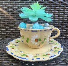 Upcycled Vintage  Tea Cup & Saucer Succulent Arrangement . picture