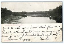 1906 Scenic View Of Mud Creek Winneconne Wisconsin WI Posted Dale WI Postcard picture