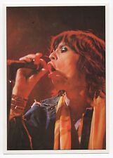 Mick Jagger Card Panini Pop Stars Sticker 1975 Mini-Poster Vintage Rock #69 picture