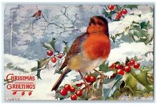1908 Christmas Greetings Song Bird Holly Berries Winter Oilette Tuck's Postcard picture
