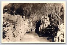 Vintage Postcard Illecillewaet canyon BC Canada picture