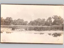 c1915 Marshlands Pond Forest Trees Unknown Location RPPC Real Photo Postcard picture