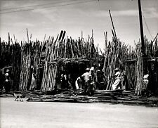 LG3 1960 Orig Bob East Photo WELL TO DO HAITIAN WOMEN @ LUMBERYARD Construction picture