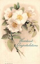Vintage Postcard 1910 Heartiest Congratulations Big Day Greetings And Wishes picture