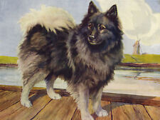 KEESHOND LOVELY DOG GREETINGS NOTE CARD picture